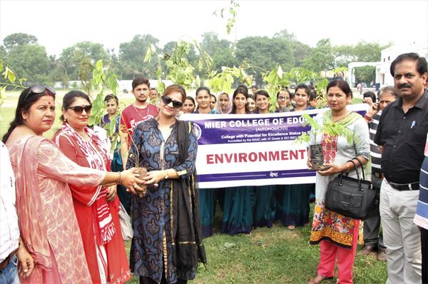 Tree Plantation